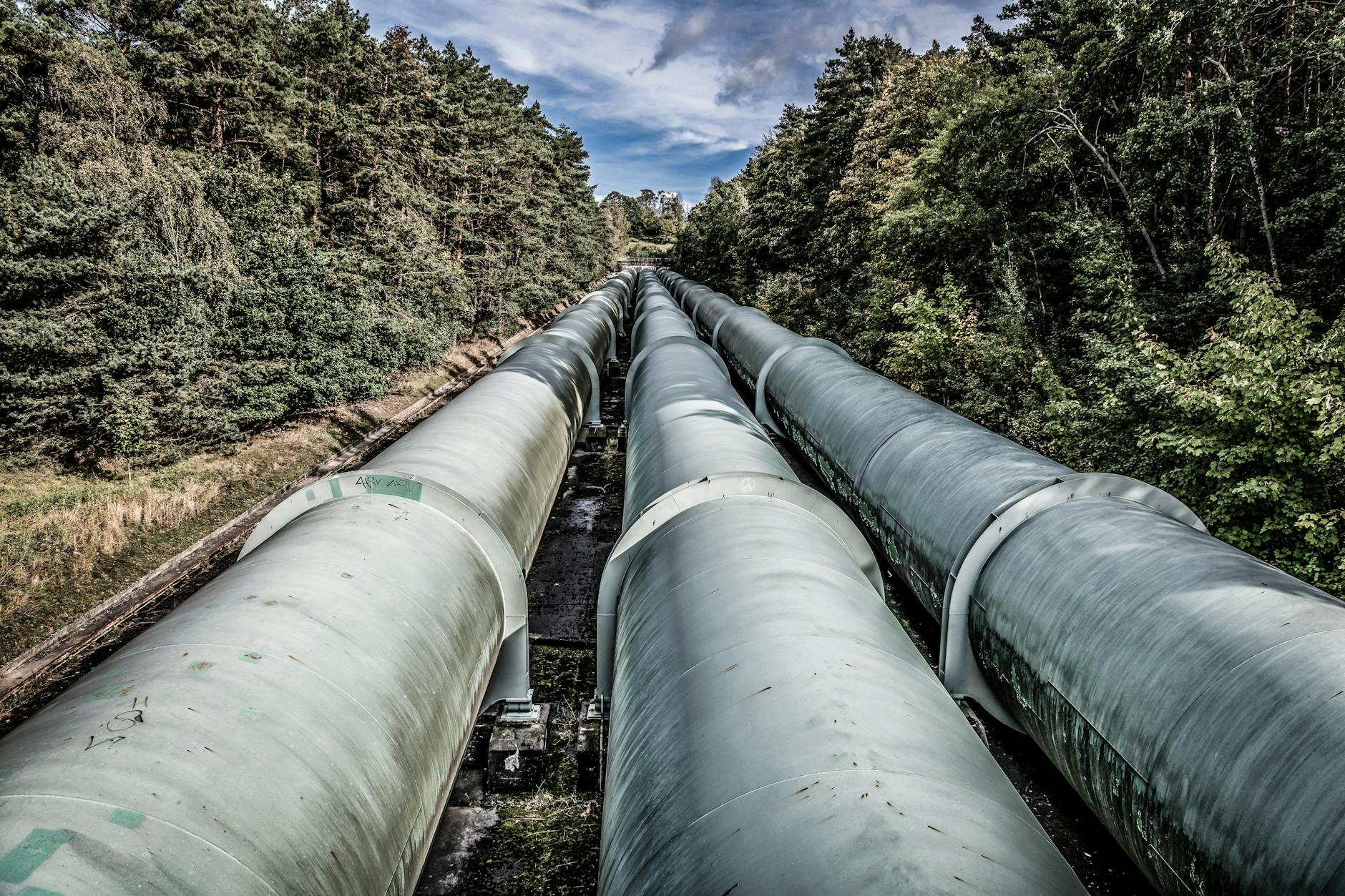 view of pipelines in a forest